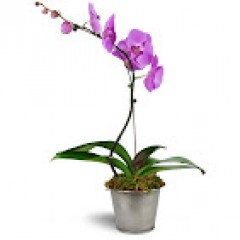 Seller Image